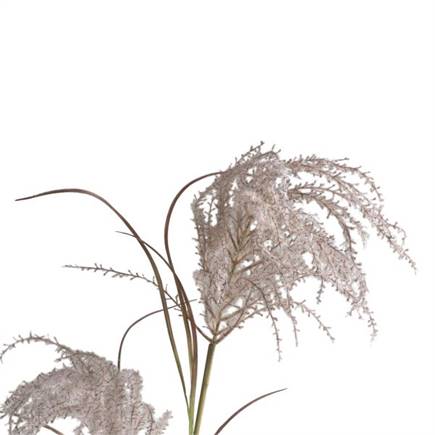 Coco Maison Pampas Grass Spray H134cm